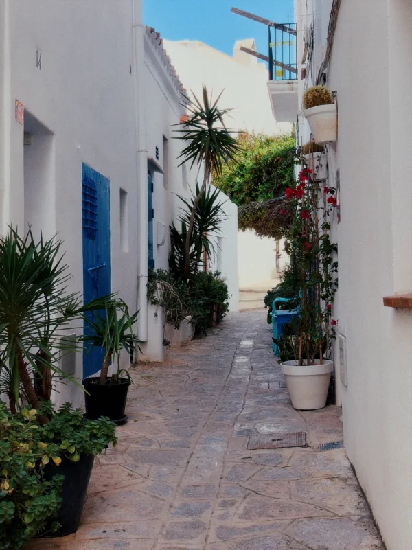 A narrow white alley with blue doors and plants along the path