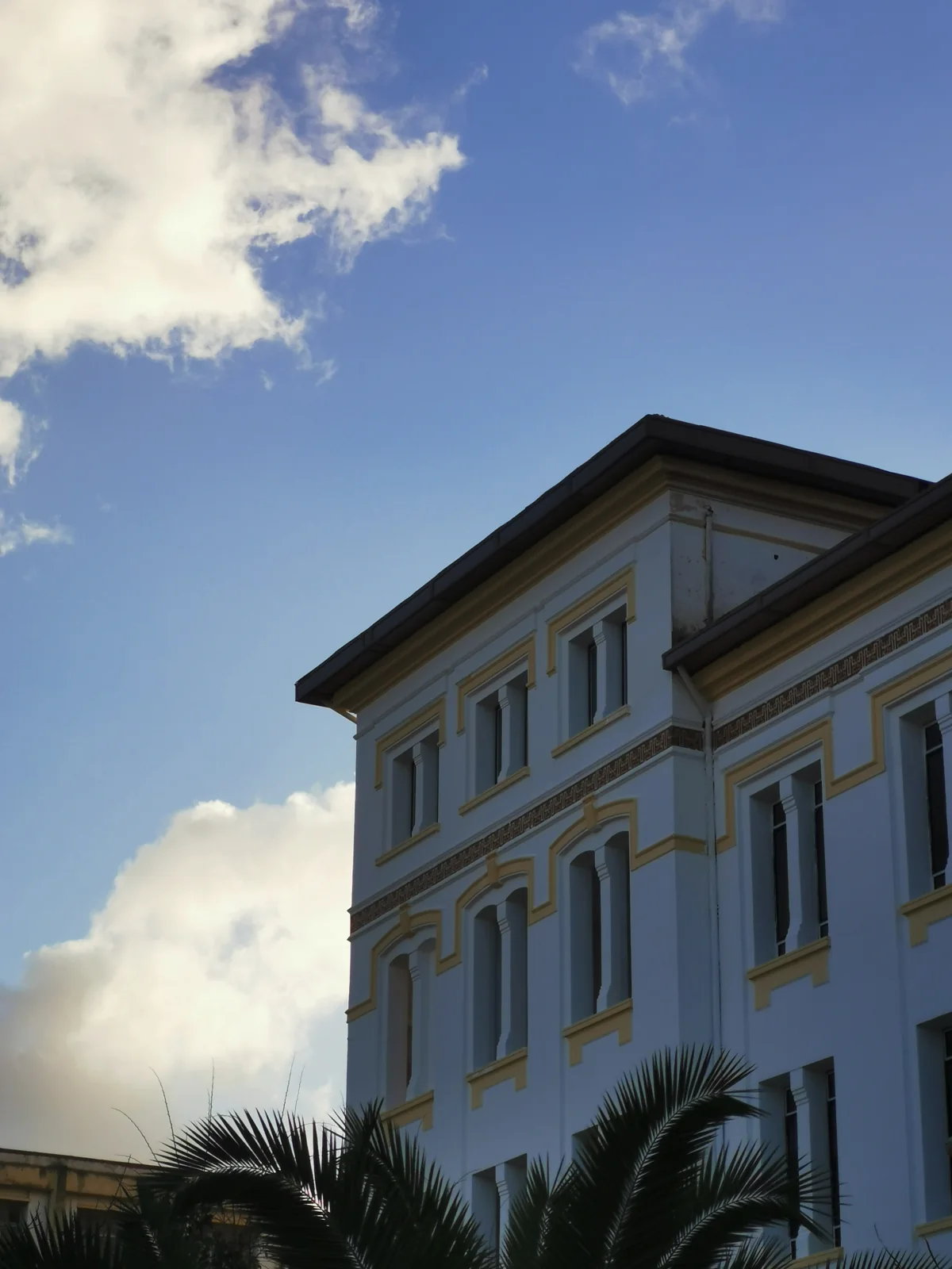 Sunlit architectural facade against blue sky, framed by palm leaves