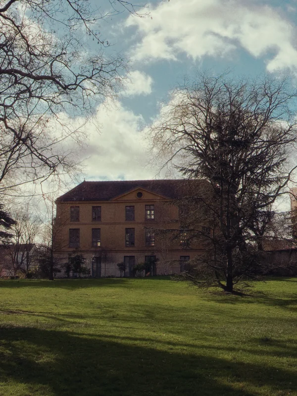 A house and lawn framed by the branches of bare trees